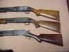 Group Pump Shotguns Sav Hig Mar 7 .JPG (71481 bytes)