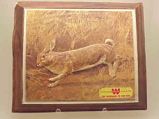Winchester 3D Advertising Print, Rabbit