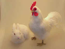 Rabbit or Rooster